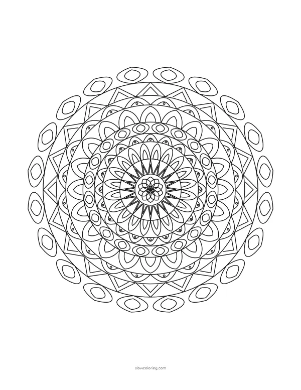 Detailed mandala with 20-fold symmetry, petals and fine lace rings