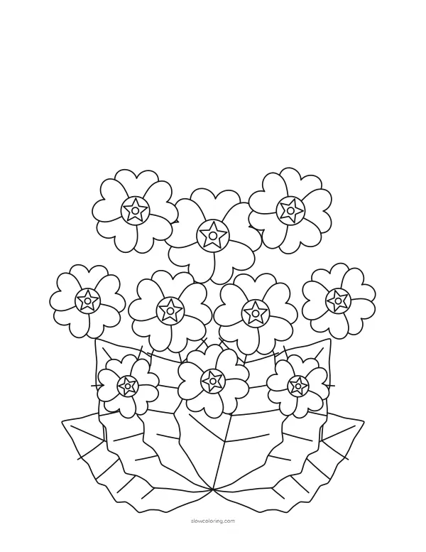 Primroses, the other February birth flower, with notched petals and long wavy leaves