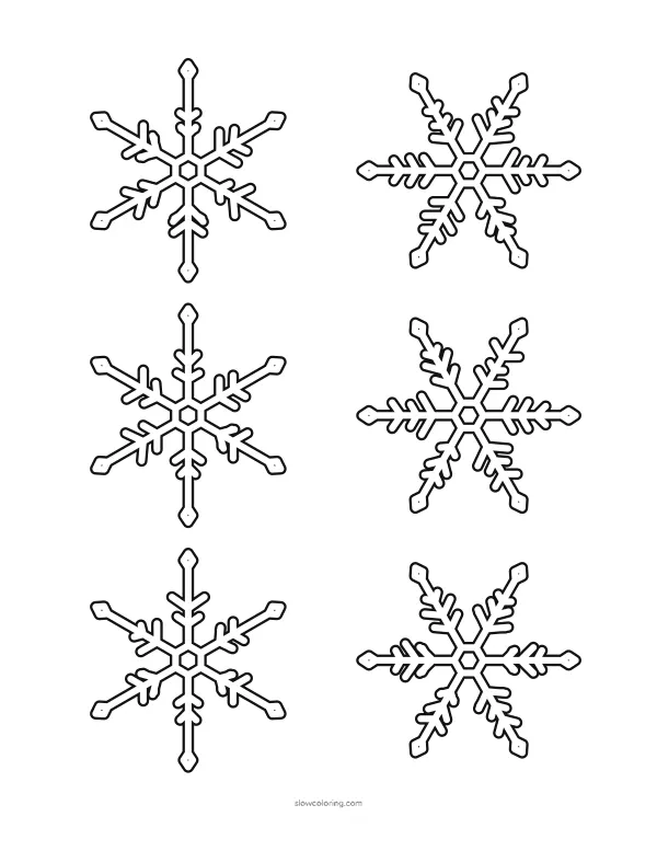 Six small snowflake outlines in a grid, two columns and three rows
